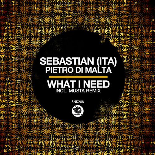 Sebastian (Ita), Pietro Di Malta - What I Need [SNK288]